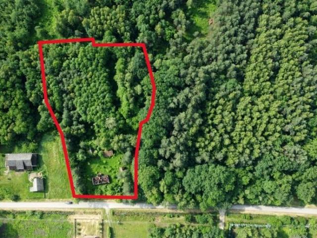 Grunt na sprzedaż w Mędrzechów, Małopolskie