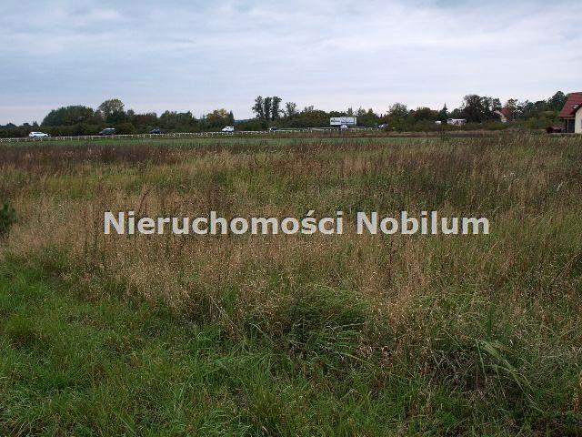 Grunt na sprzedaż w Wisznia Mała, Dolnośląskie