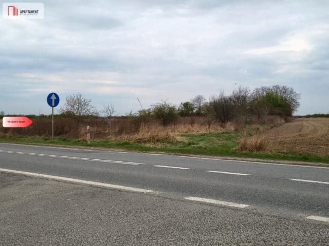Grunt na sprzedaż w Oleśnica, Dolnośląskie