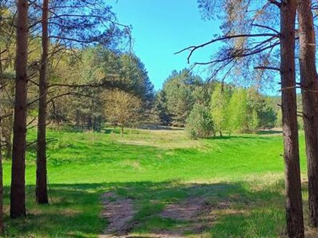 Grunt na sprzedaż w Międzychód, Wielkopolskie