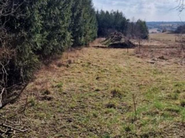 Grunt na sprzedaż w Sadowie, Śląskie