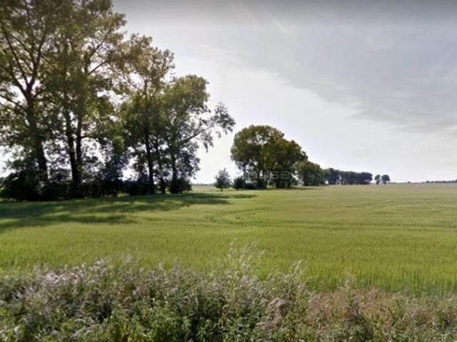 Grunt na sprzedaż w Brodowo, Wielkopolskie
