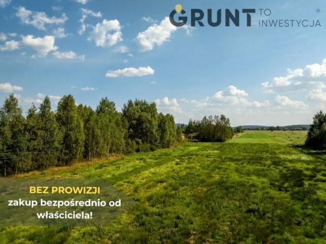 Grunt na sprzedaż w Mniów, Świętokrzyskie
