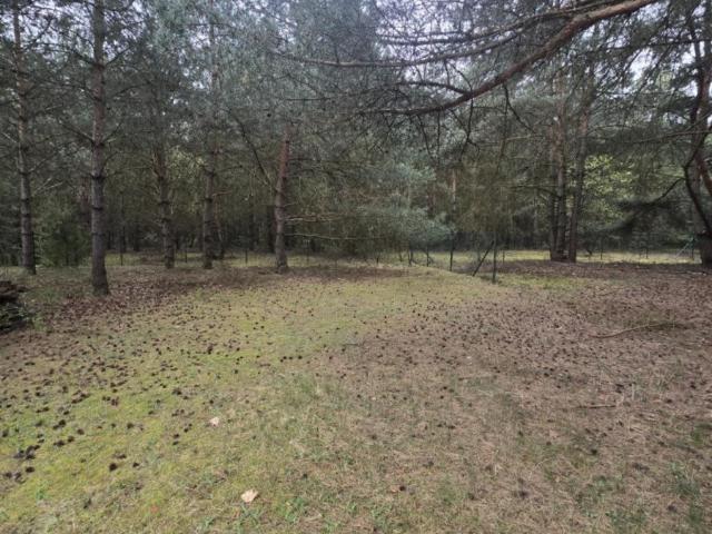 Grunt na sprzedaż w Ślesin, Wielkopolskie
