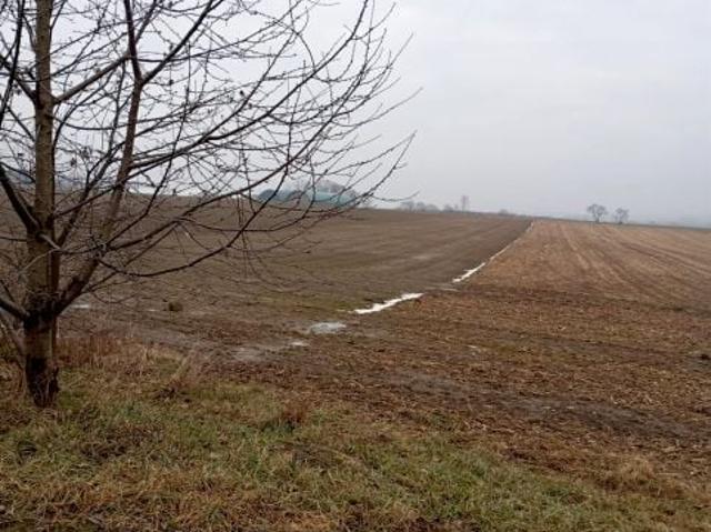 Grunt na sprzedaż w Wilkowice, Śląskie