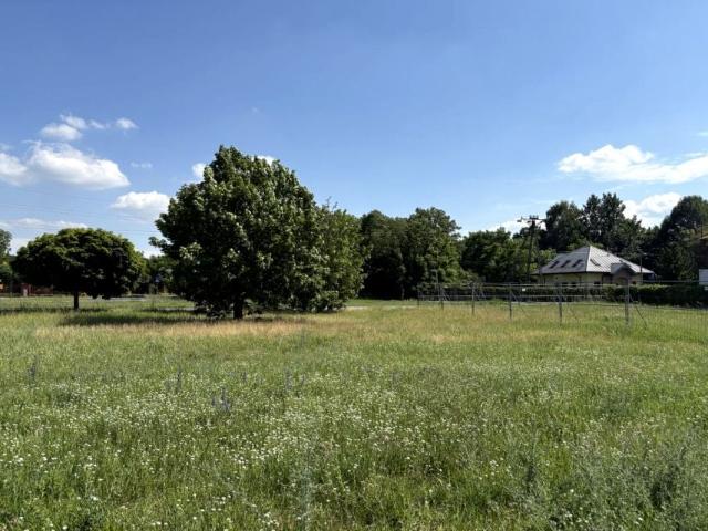 Grunt na sprzedaż w Żyrardów, Mazowieckie