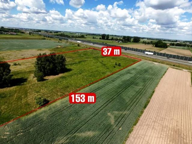Grunt na sprzedaż w Nowy Drzewicz, Mazowieckie