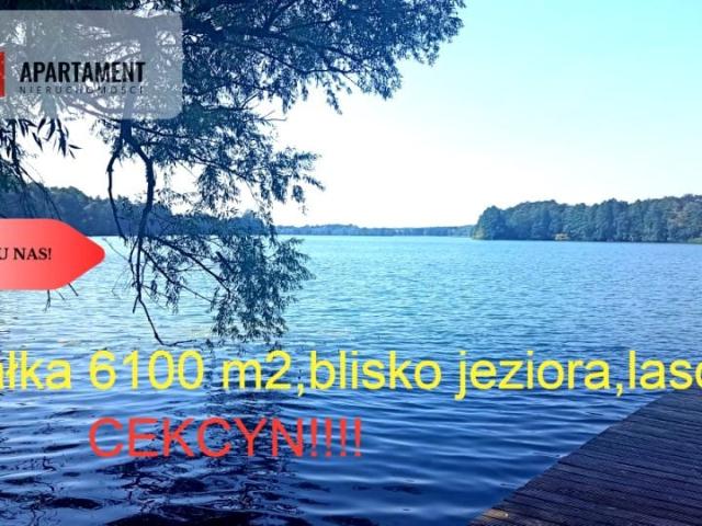Grunt na sprzedaż w Cekcyn, Kujawsko-pomorskie