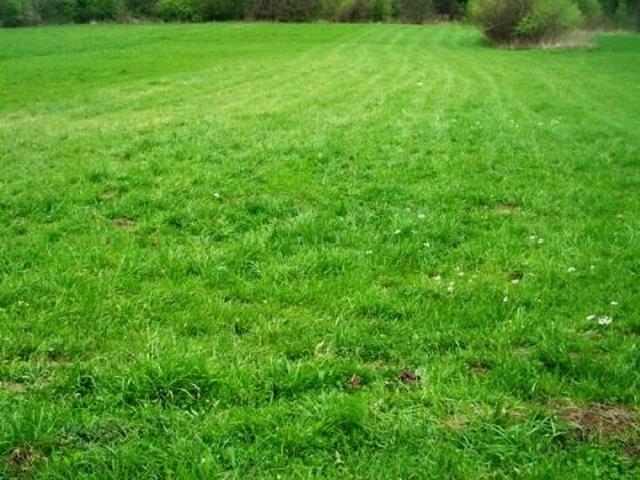Grunt na sprzedaż w Sobolów, Małopolskie