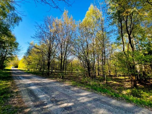 Grunt na sprzedaż w Wojnicz, Małopolskie