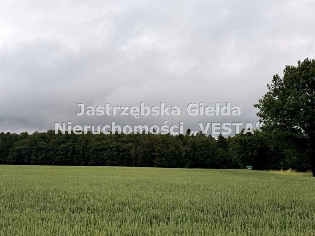 Grunt na sprzedaż w Jastrzębie-zdrój, Śląskie