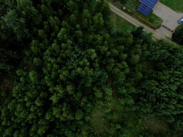 Grunt na sprzedaż w Świętajno, Warmińsko-mazurskie