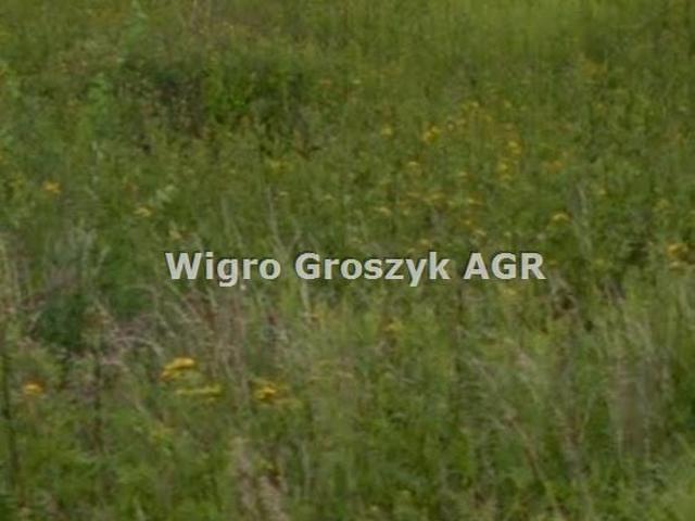 Grunt na sprzedaż w Czosnów, Mazowieckie