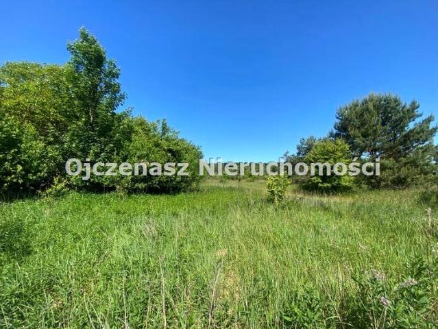 Grunt na sprzedaż w Dąbrowa Chełmińska, Kujawsko-pomorskie