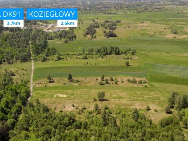 Grunt na sprzedaż w Koziegłowy, Śląskie