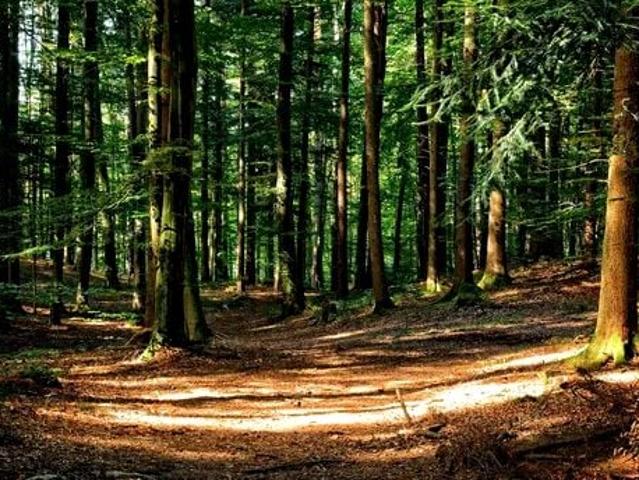 Grunt na sprzedaż w Ostróda, powiat ostródzki