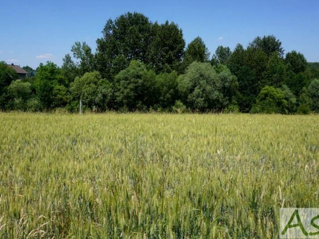 Grunt na sprzedaż w Alwernia, Małopolskie
