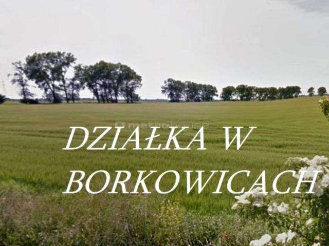 Grunt na sprzedaż w Borkowice, Wielkopolskie