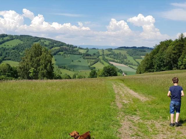 Grunt na sprzedaż w Lądek-zdrój, Dolnośląskie