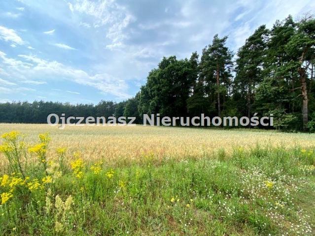 Grunt na sprzedaż w Nekla, Kujawsko-pomorskie
