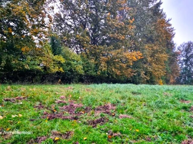 Grunt na sprzedaż w Kozy, Śląskie