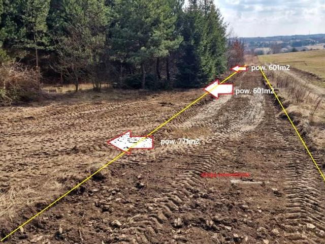 Grunt na sprzedaż w Sadowie, Śląskie