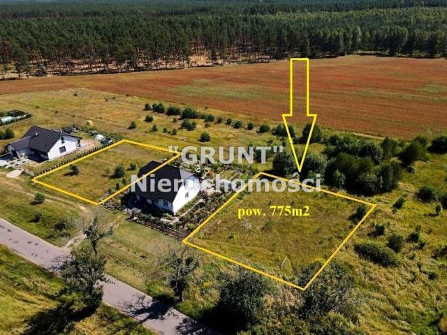 Grunt na sprzedaż w Plecemin, Wielkopolskie