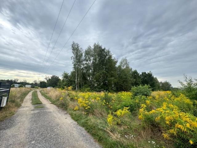 Grunt na sprzedaż w Rybnik, Śląskie