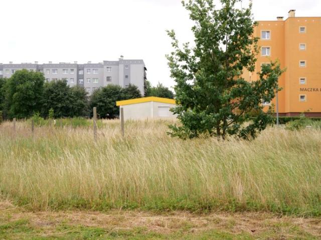 Grunt na sprzedaż w Chojnów, Dolnośląskie