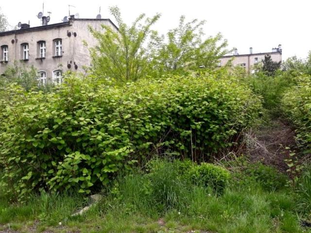 Grunt na sprzedaż w Ruda Śląska, Śląskie
