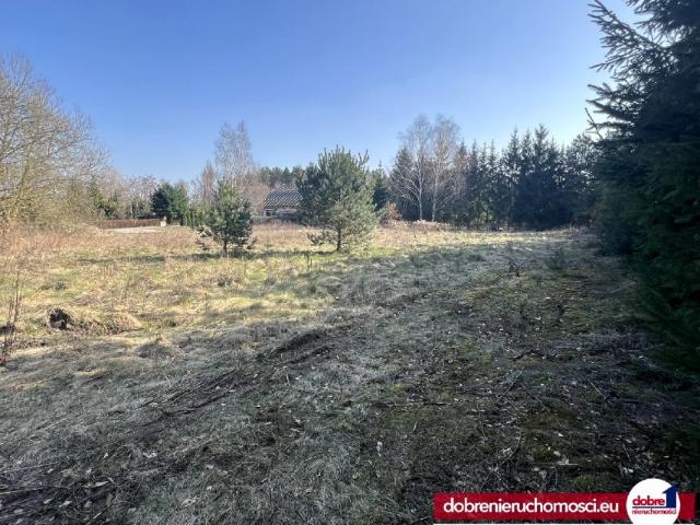 Grunt na sprzedaż w Dobrcz, Kujawsko-pomorskie