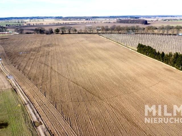 Grunt na sprzedaż w Murowana Goślina, Wielkopolskie