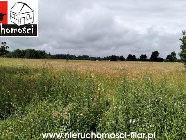 Grunt na sprzedaż w Przyłęki, Kujawsko-pomorskie