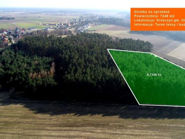 Grunt na sprzedaż w Krzeczyn, Dolnośląskie