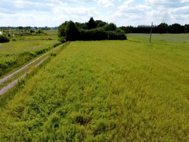 Grunt na sprzedaż w Snopków, Lubelskie