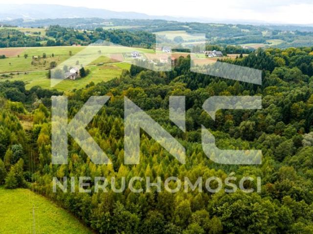 Grunt na sprzedaż w Zalasowa, Małopolskie