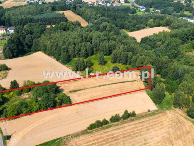 Grunt na sprzedaż w Gogołowa, Śląskie