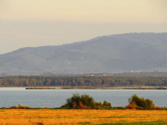 Grunt na sprzedaż w Pszczyna, Śląskie