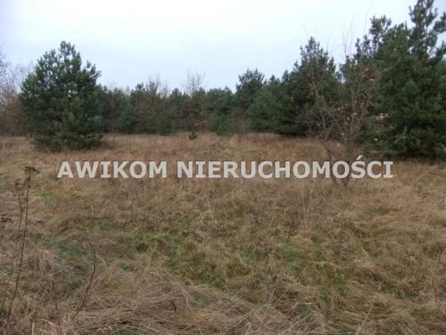 Grunt na sprzedaż w Skierniewice, Łódzkie