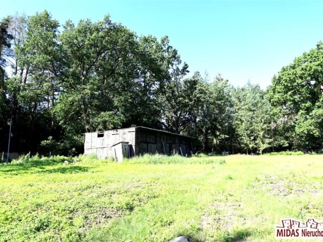 Grunt na sprzedaż w Wielka Nieszawka, Kujawsko-pomorskie