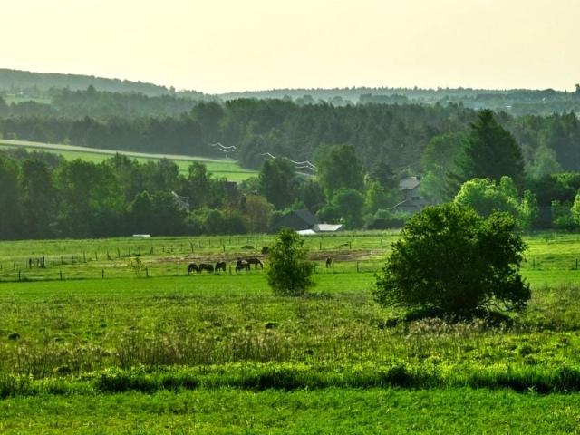 Grunt na sprzedaż w Zawiercie, Śląskie