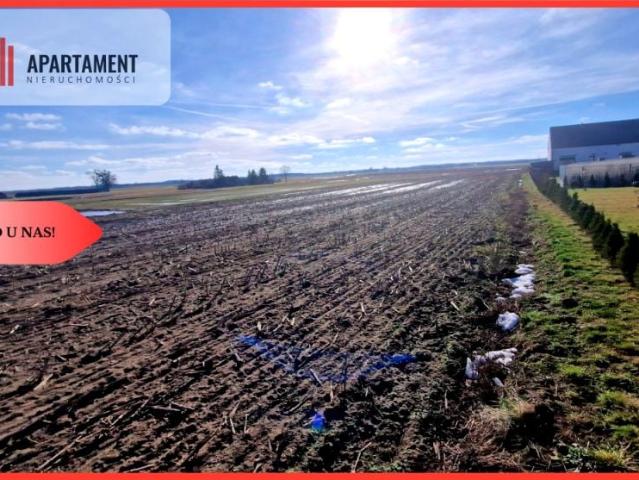 Grunt na sprzedaż w Sępólno Krajeńskie, Kujawsko-pomorskie