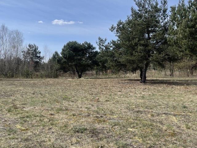 Grunt na sprzedaż w Radzymin, Mazowieckie