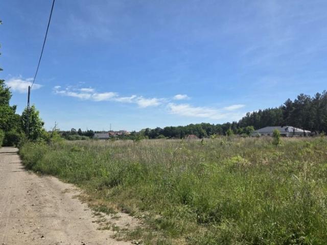 Grunt na sprzedaż w Gorzów Wielkopolski, Lubuskie