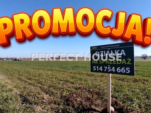 Grunt na sprzedaż w Nowy Dwór, Wielkopolskie