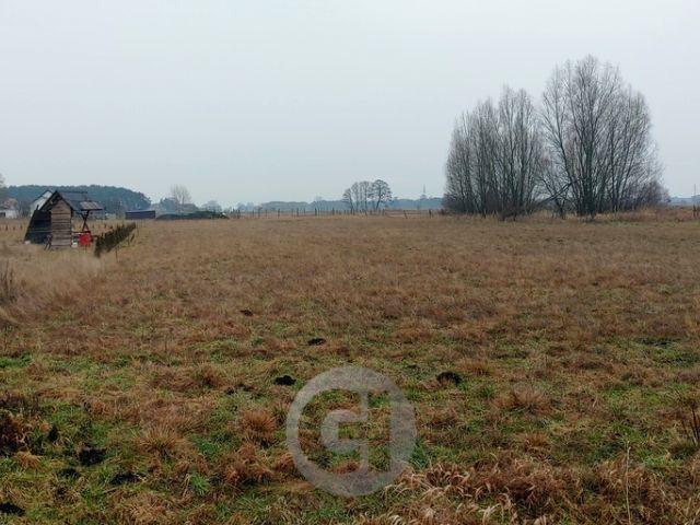 Grunt na sprzedaż w Łagodzin, Lubuskie