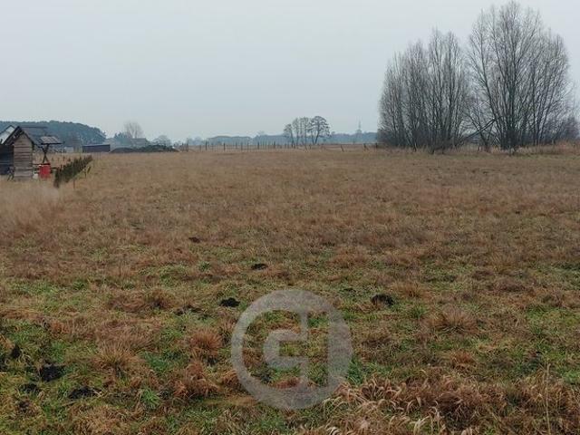 Grunt na sprzedaż w Łagodzin, Lubuskie