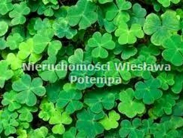 Grunt na sprzedaż w Żory, Śląskie
