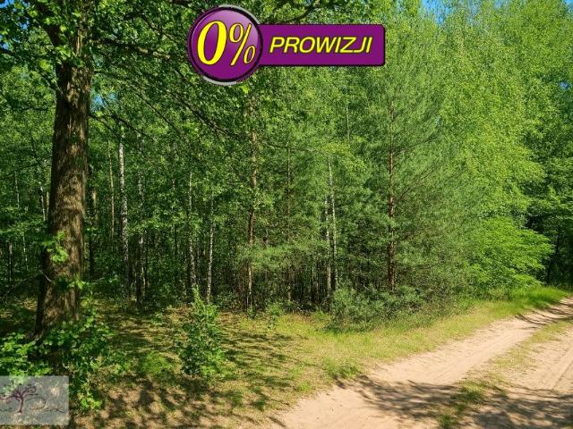 Grunt na sprzedaż w Brójce, Łódzkie