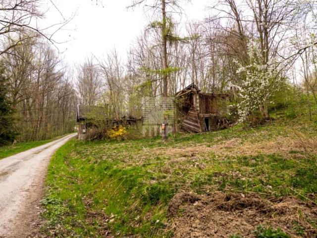 Grunt na sprzedaż w Złota, Małopolskie